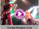 Big Ones (Aerosmith Tribute Band) - Sweet Emotion Live        
